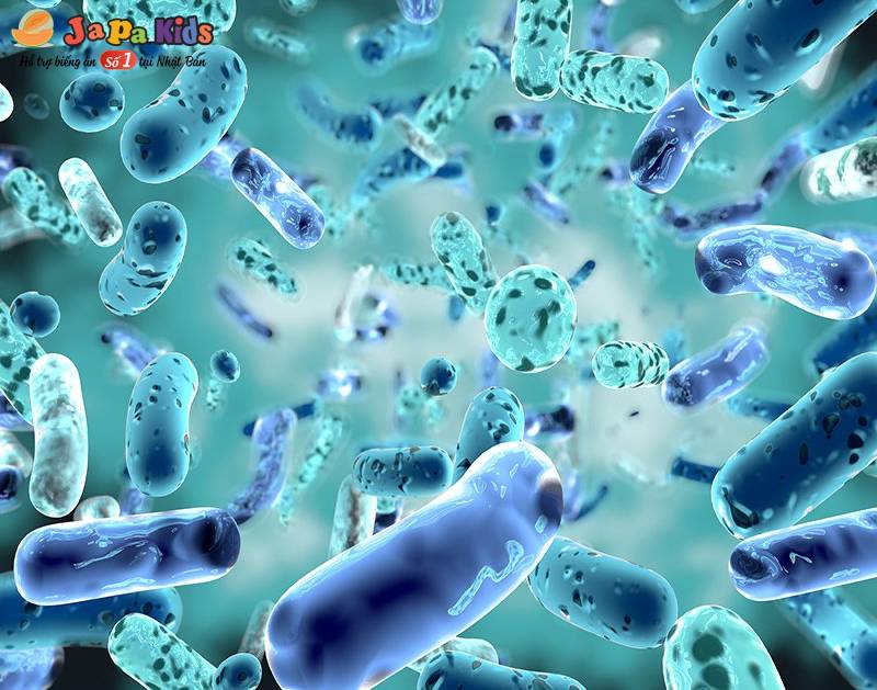 Probiotics có lợi cho sức khỏe tim mạch không?