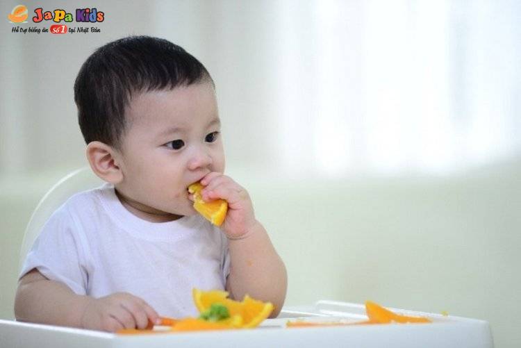 thực đơn tăng cân cho trẻ 8 tuổi